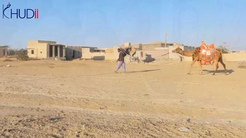 Camel Library (Alif Laila Library) 2 camel library alif laila book 2